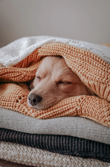 knitted blankets