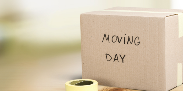 moving day